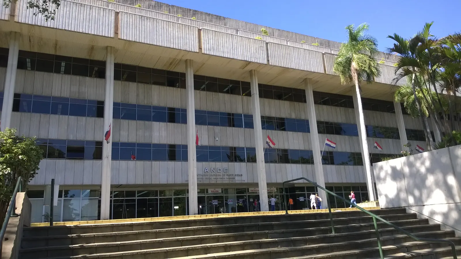 The main entrance of the ANDE head office in Asunción, with stairs, flags and palm trees