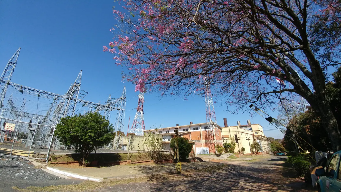 Electrical towers and lines at the ANDE substation in Sajonia, behind a flowering tree