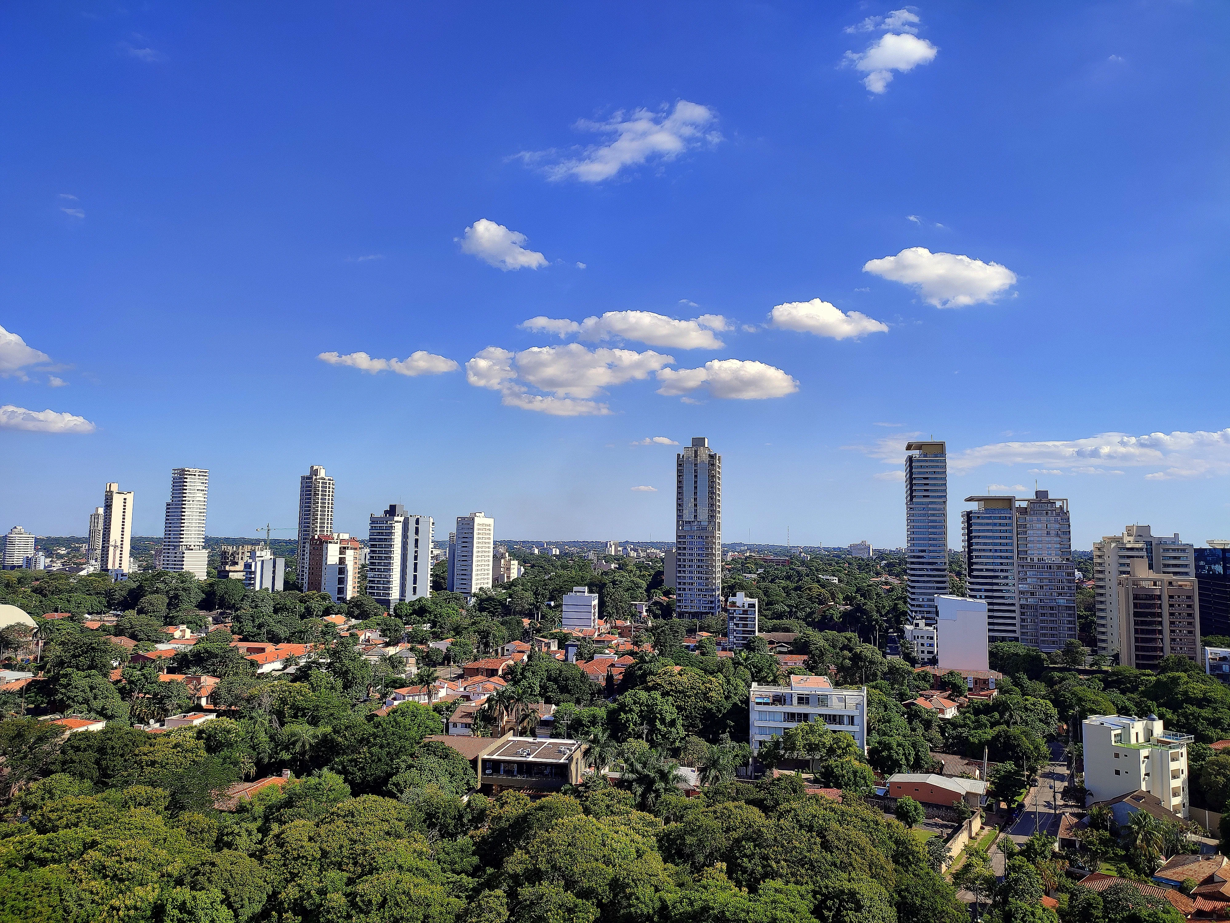Skyline of modern apartment towers in Asunción seen above trees