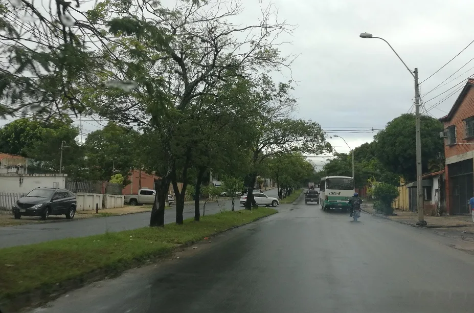 Wide tree-lined Avenida Brasilia in Asunción with houses and a bus