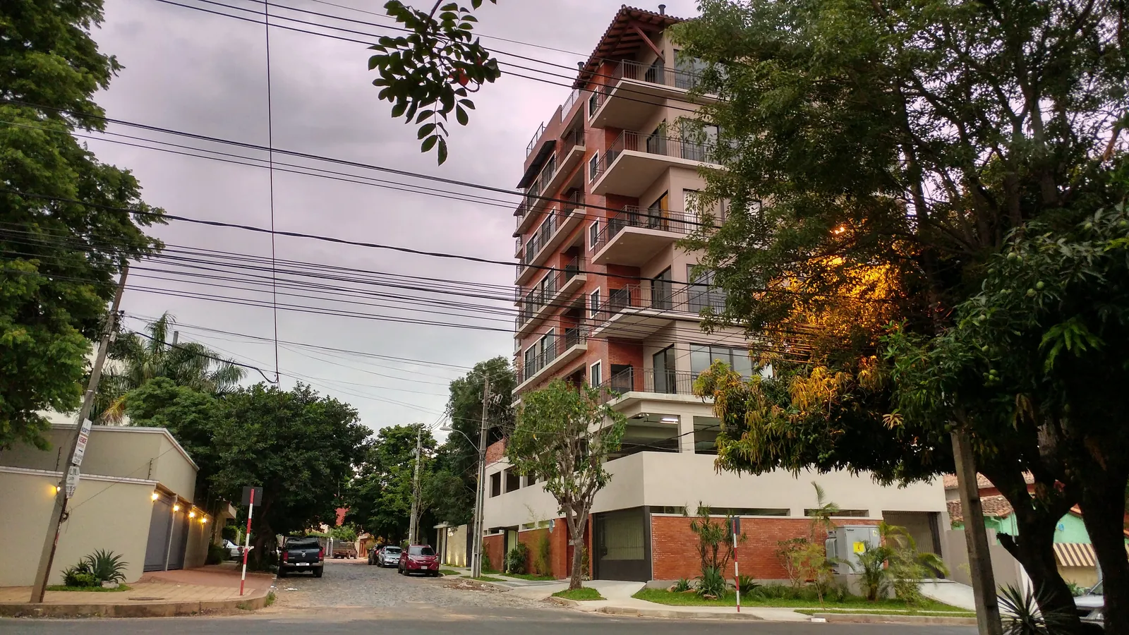 Tree-lined streets and low buildings in the Carmelitas neighborhood of Asunción