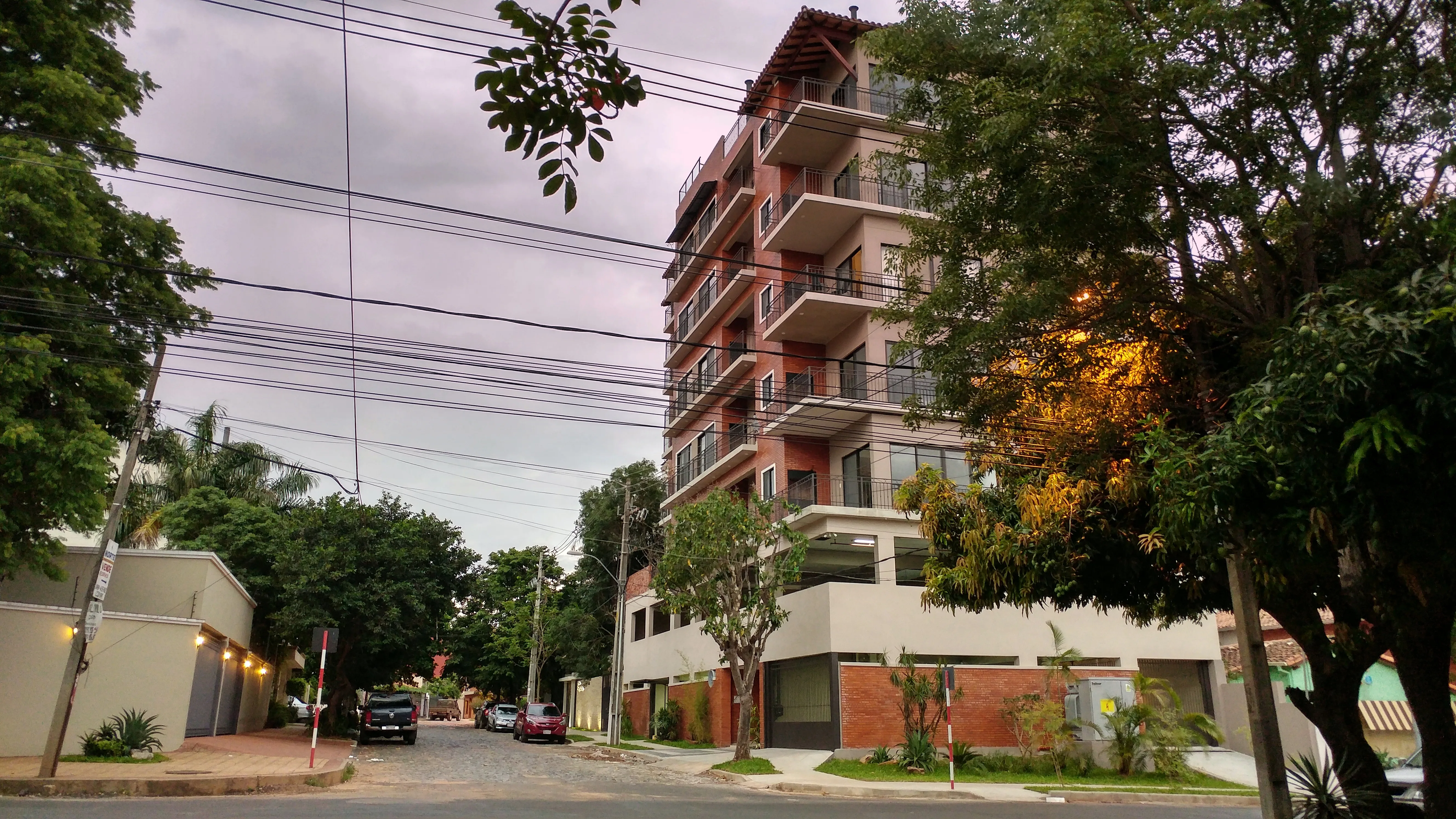 Quiet tree-lined residential street in the Carmelitas neighborhood