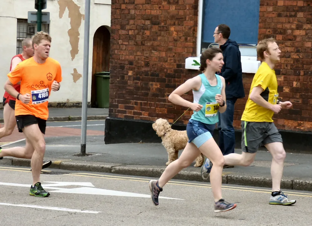 A group of runners on the road during a group run