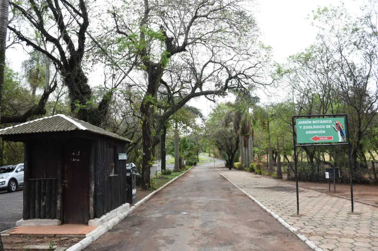 Tree-lined entrance road and footpath at the Jardín Botánico y Zoológico, Asunción