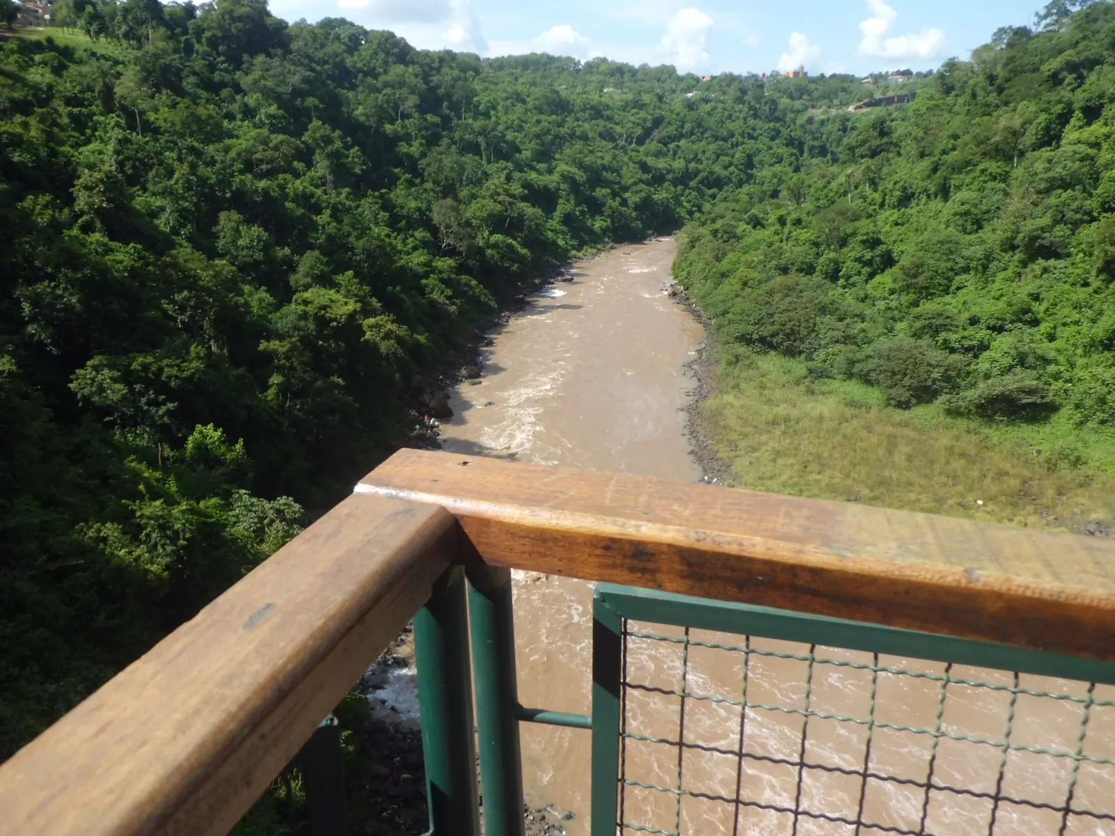 The brown Monday river running between steep forested banks, seen over a wooden railing