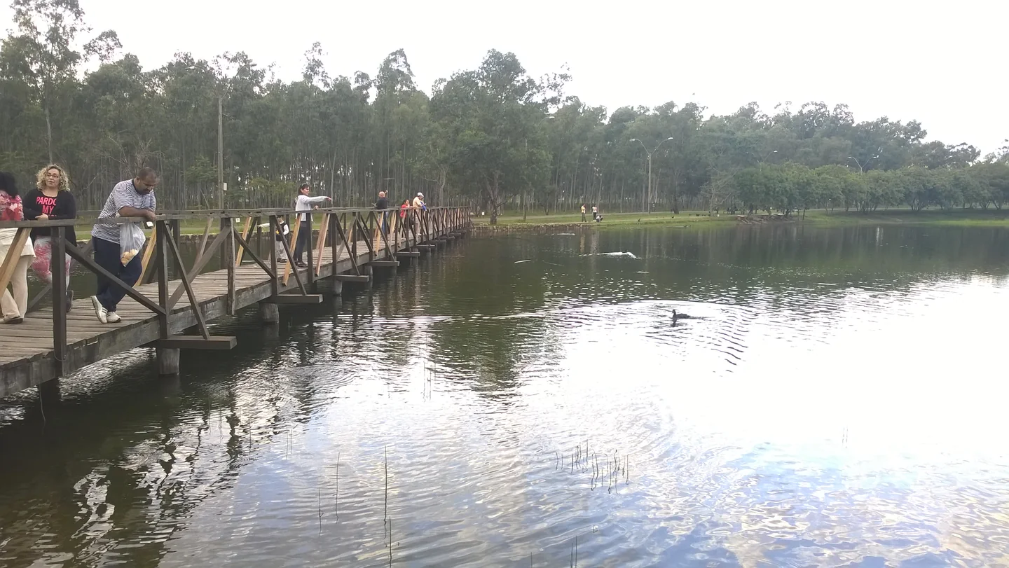 Visitors on the wooden footbridge beside the lagoon at Ñu Guasu, with trees across the water