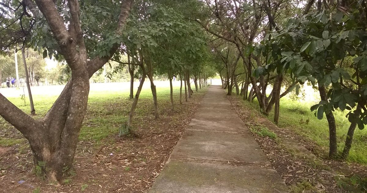 Un sendero con sombra en el parque Nu Guasú, Asunción.