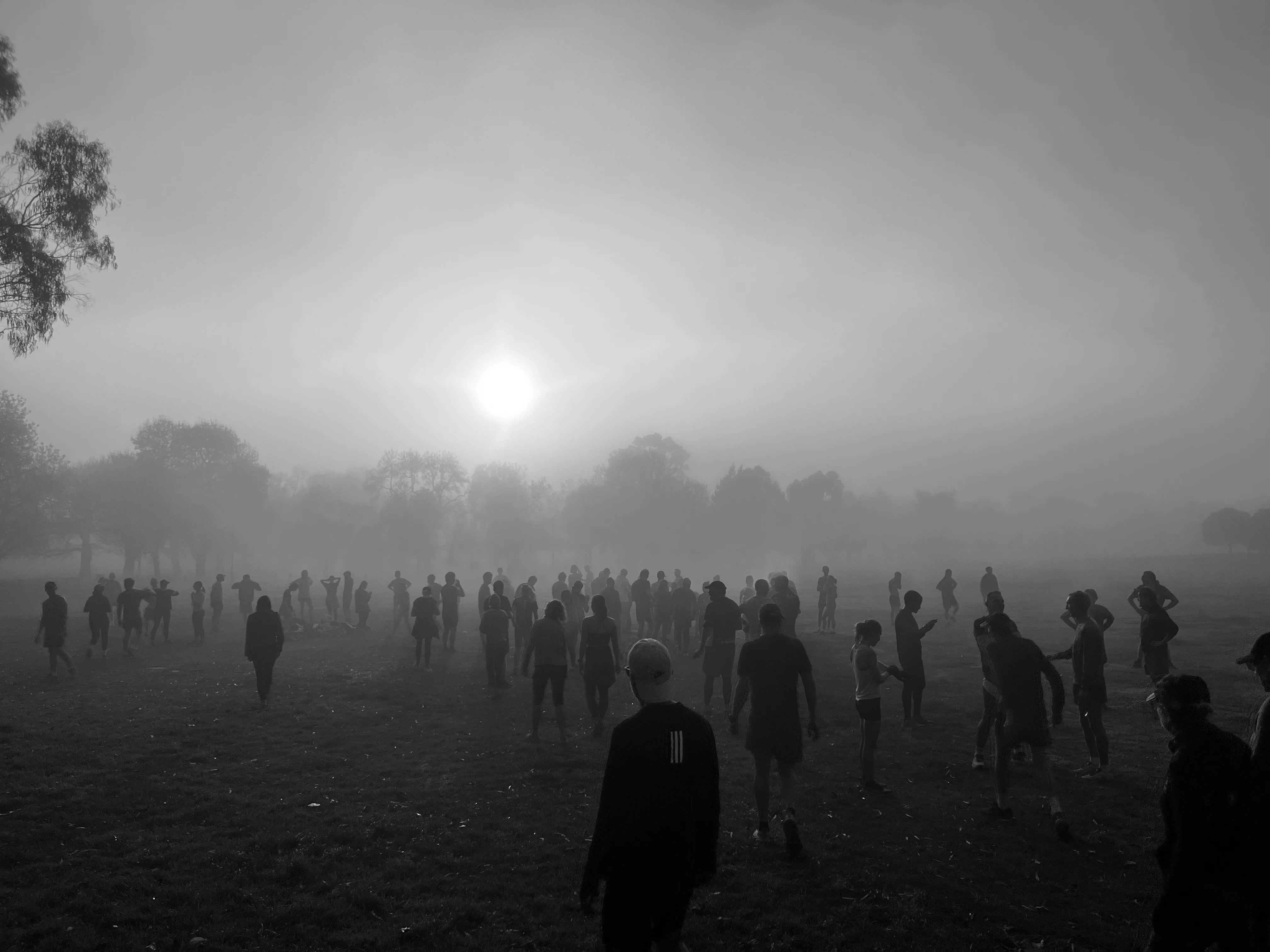 Runners at the finish of a parkrun