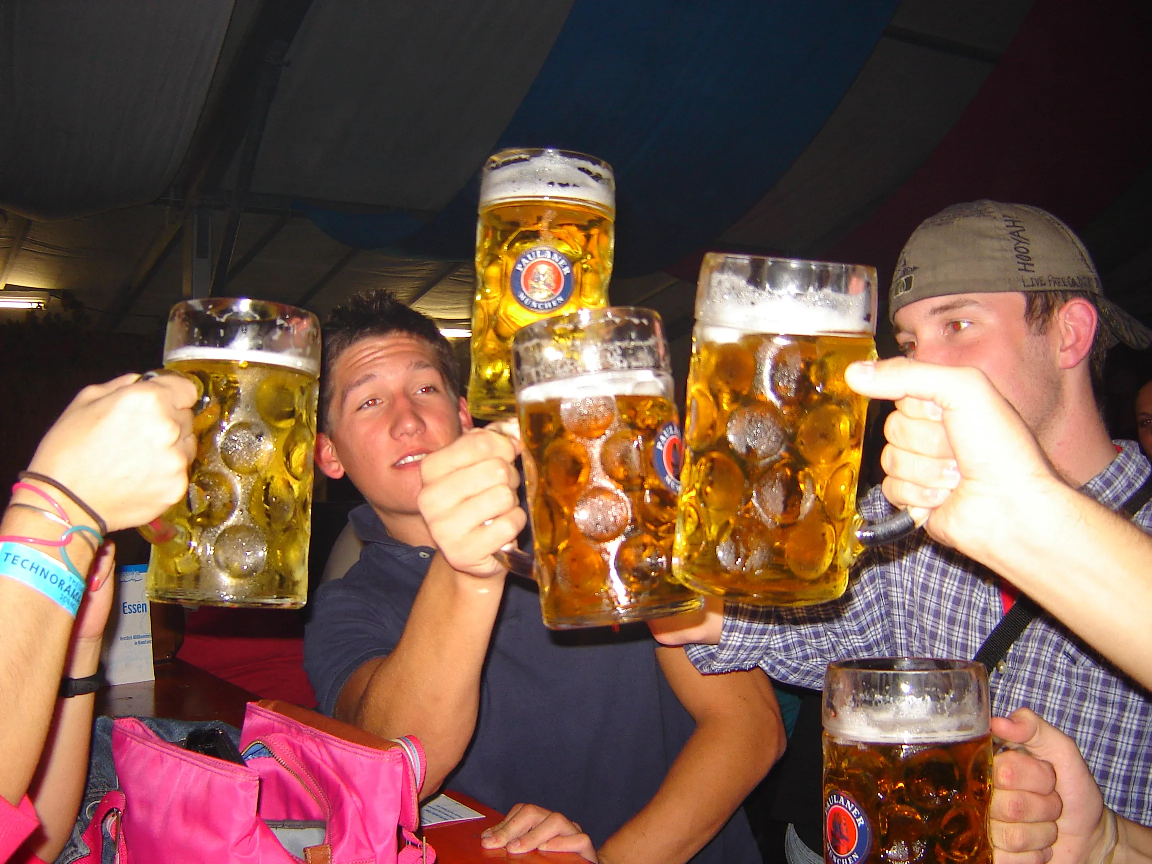 Friends raising beer glasses in a toast