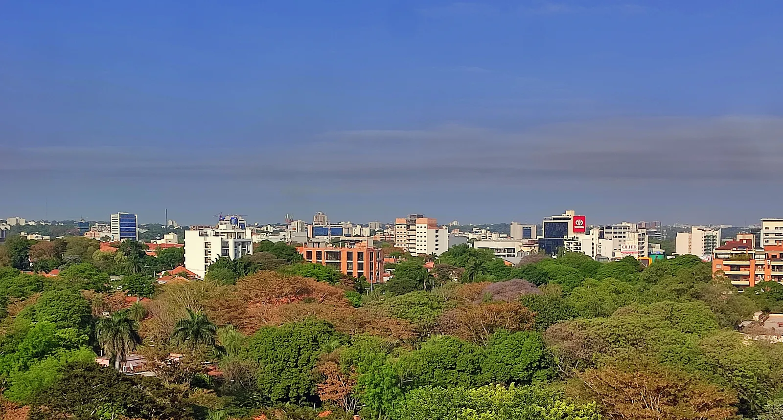 Apartment and office towers in Villa Morra, Asunción